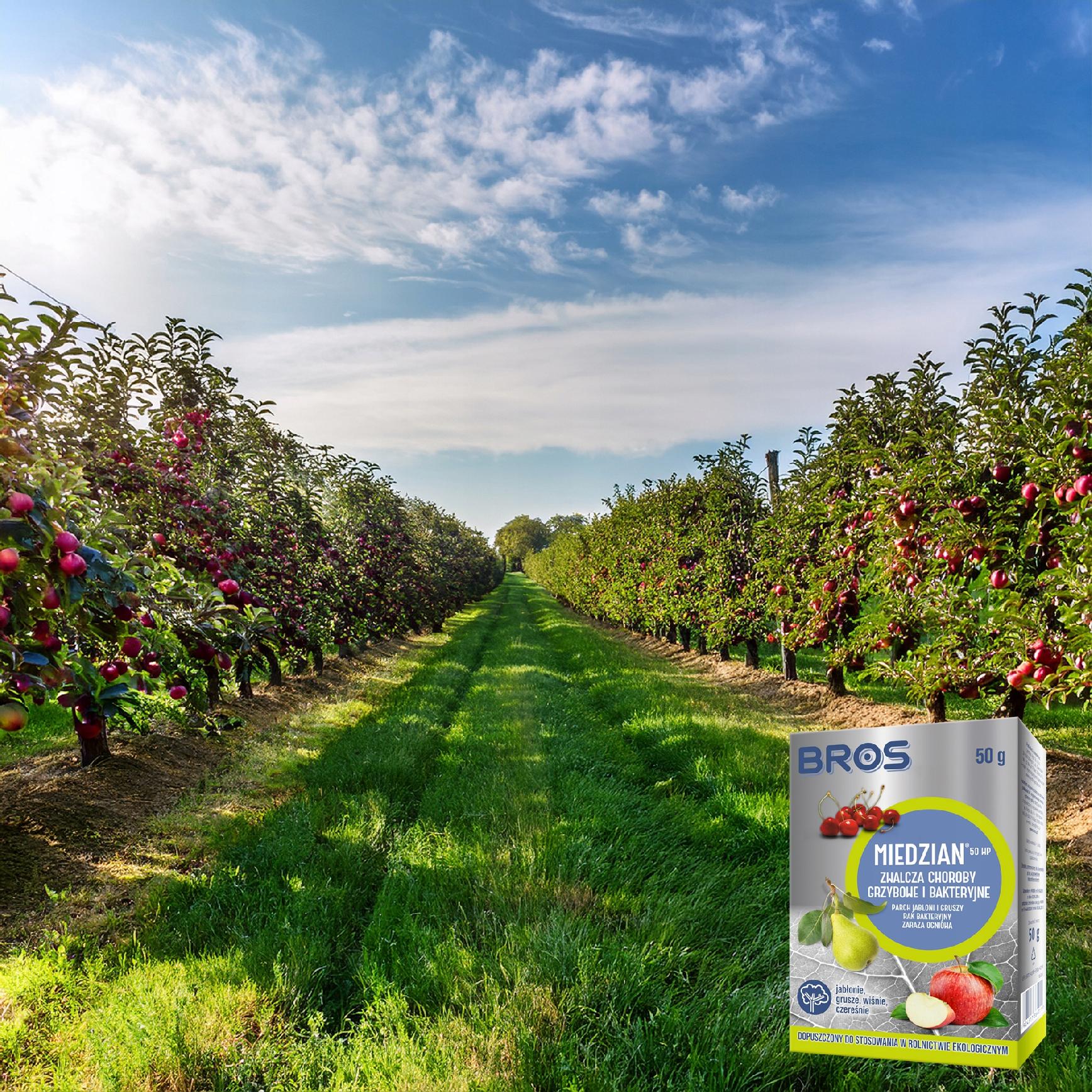 bros - miedzian 50wp 50g