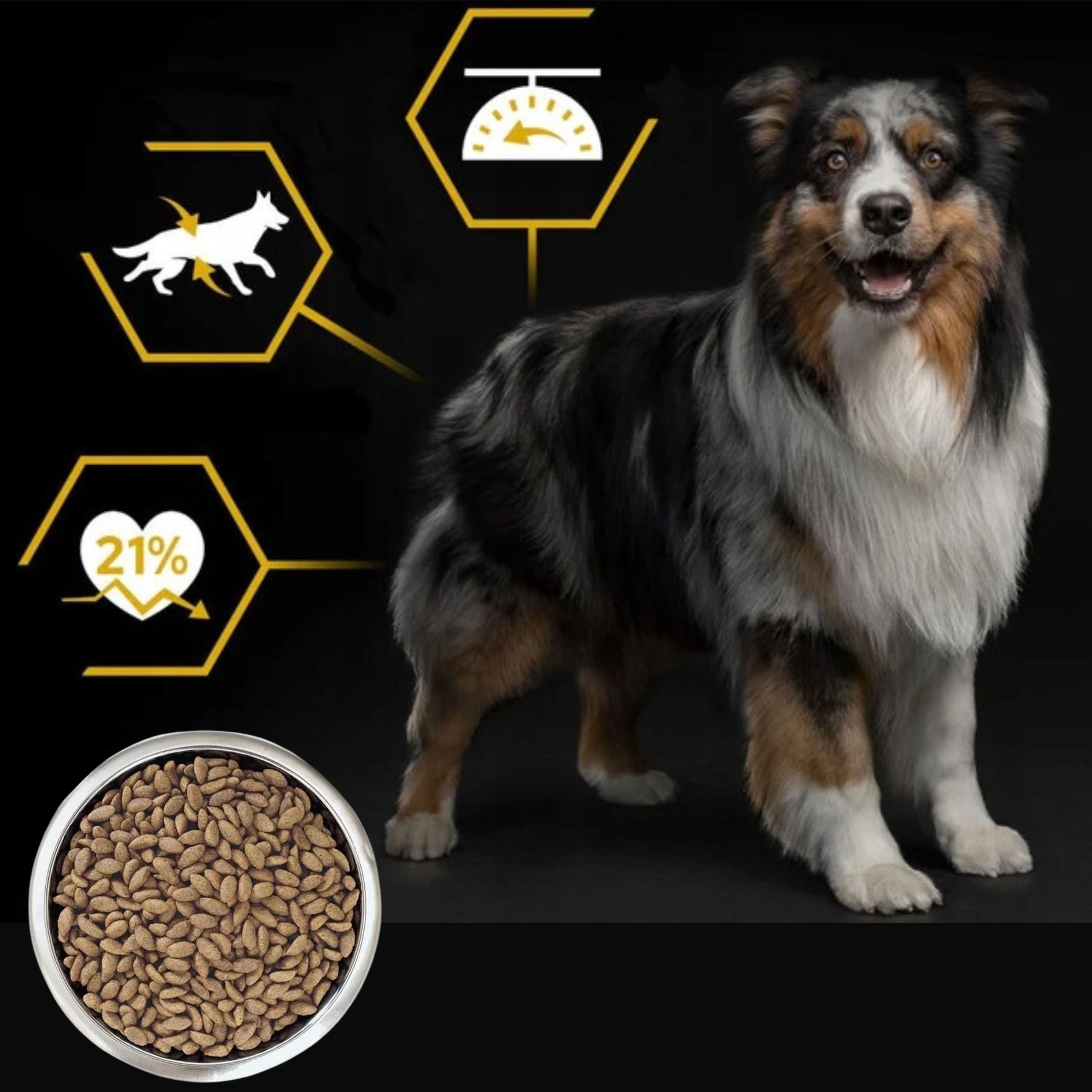 sucha karma dla psa purina pro plan kurczak 16.5 kg psy po sterylizacji