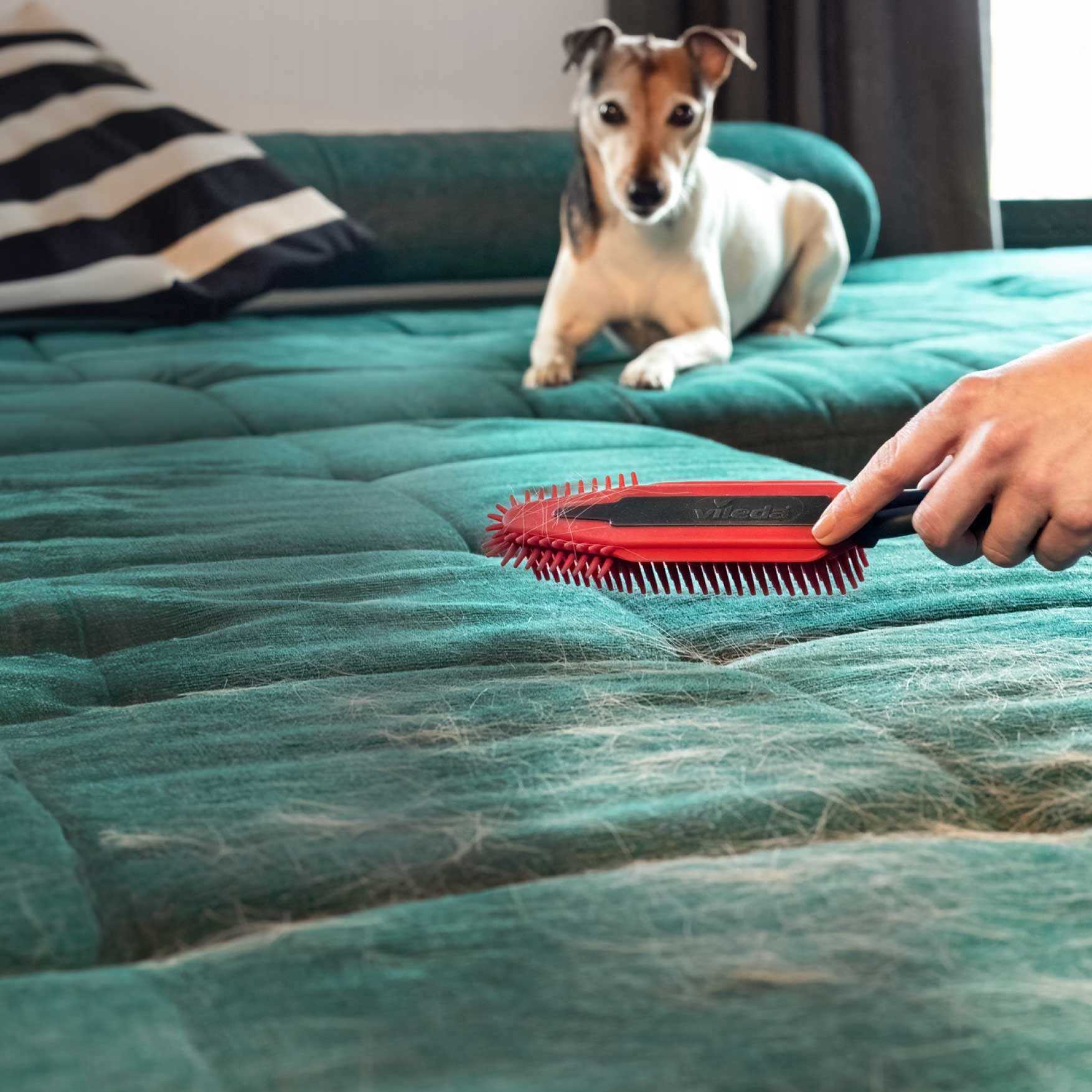 vileda pet pro szczotka elektrostatyczna do sierści i włosów