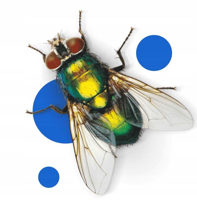 bros - lep na okno 4-pak - 10 op.