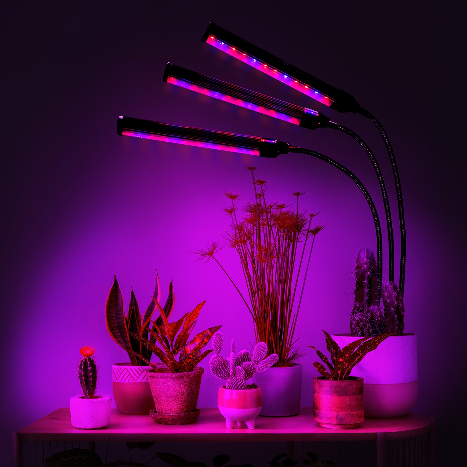 lampa led do wzrostu roślin 72 diod timer 25 w uprawa roślin do domu