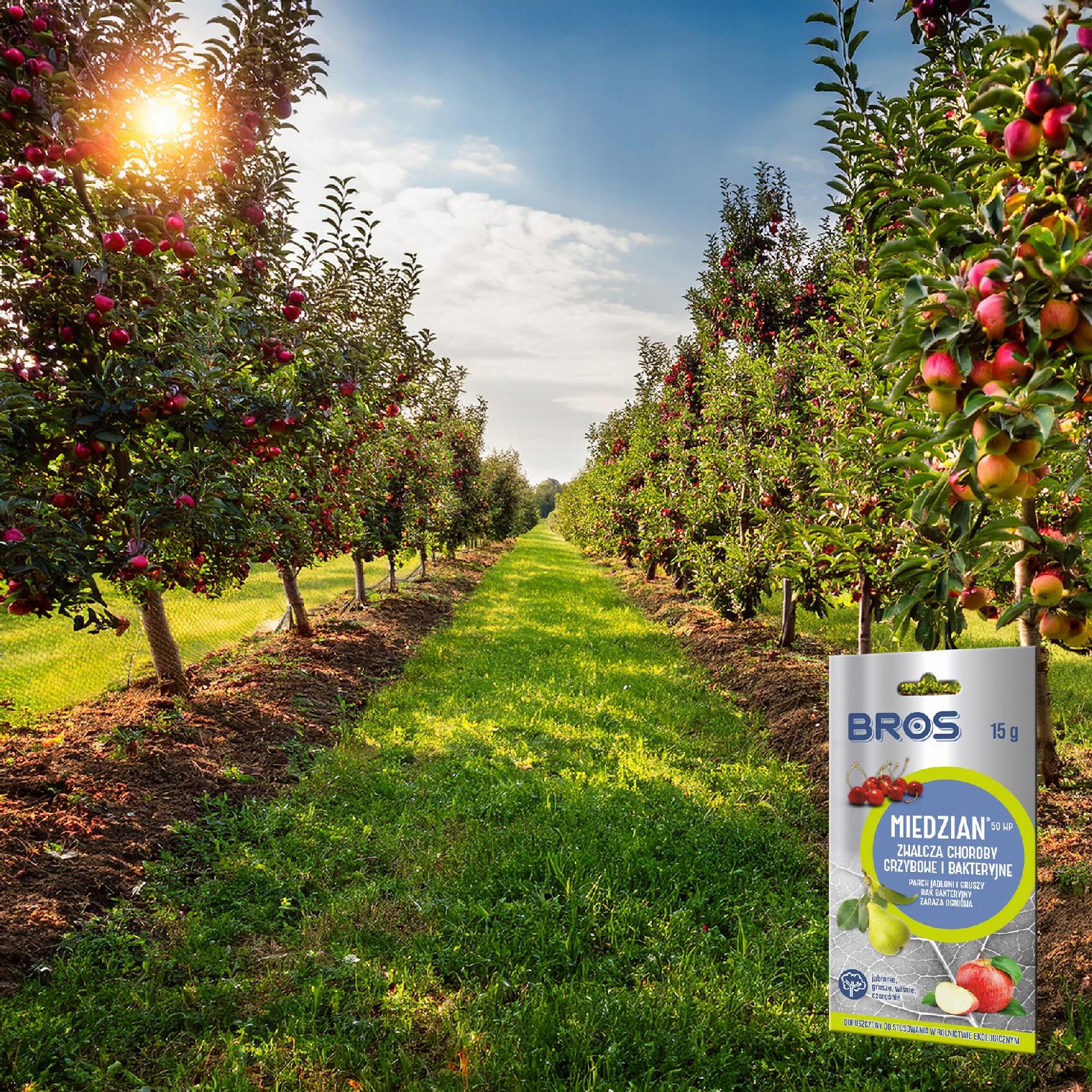 bros - miedzian 50wp 15g