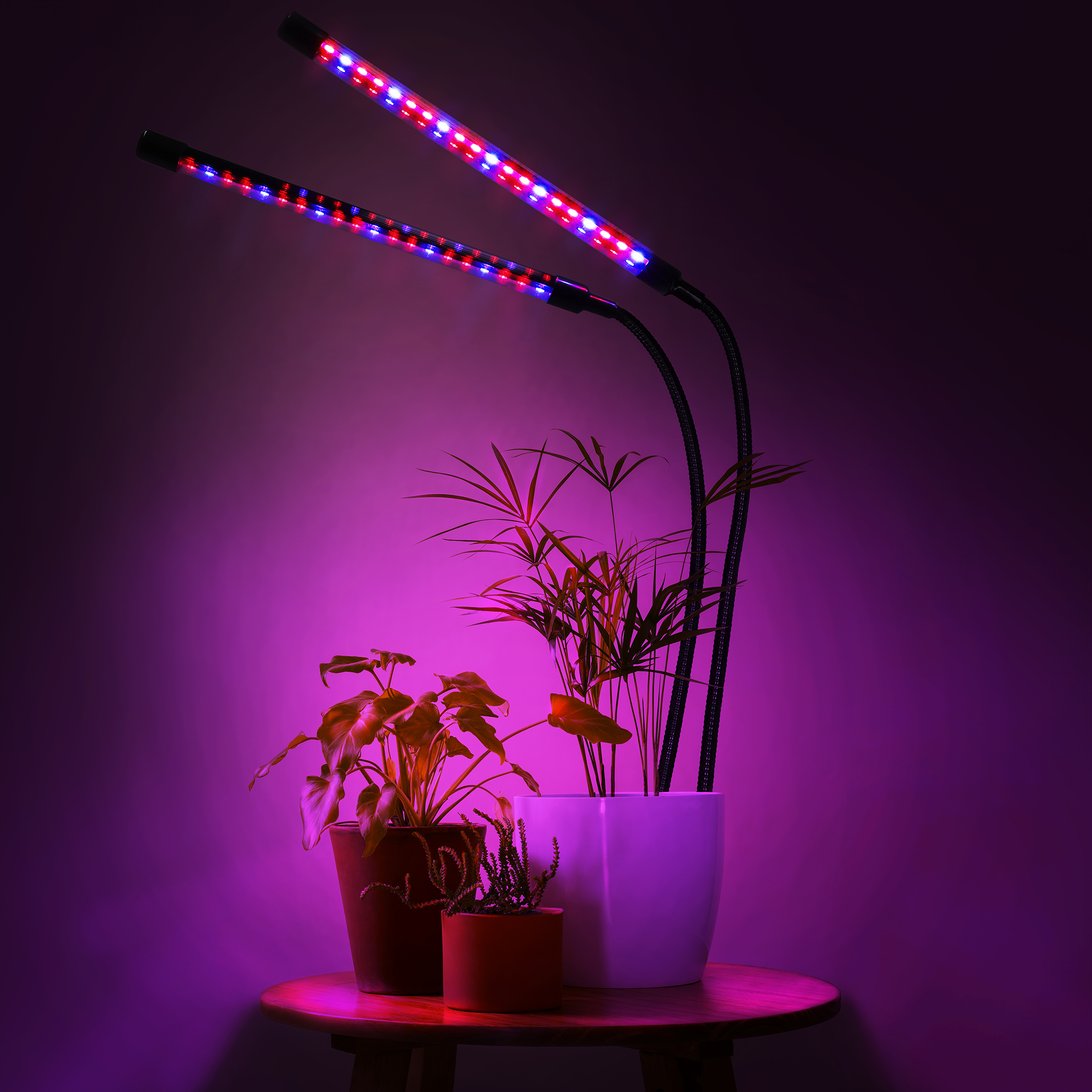 lampa led do wzrostu roślin 40 diod timer 15 w uprawa roślin do domu