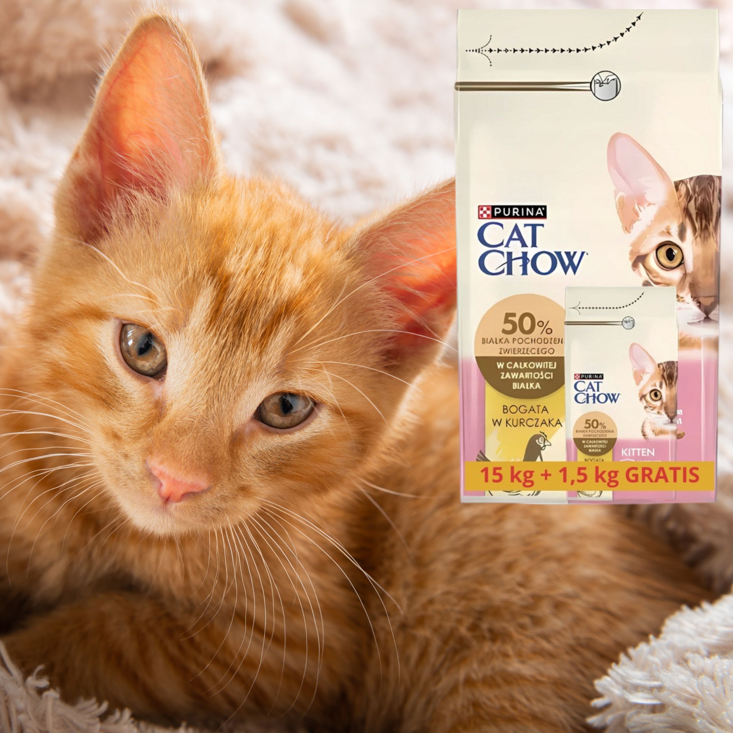 sucha karma dla kota cat chow kitten kurczak 15 kg + 1.5 kg gratis kocięta