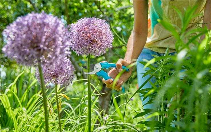 sekator ogrodowy gardena 8754-20