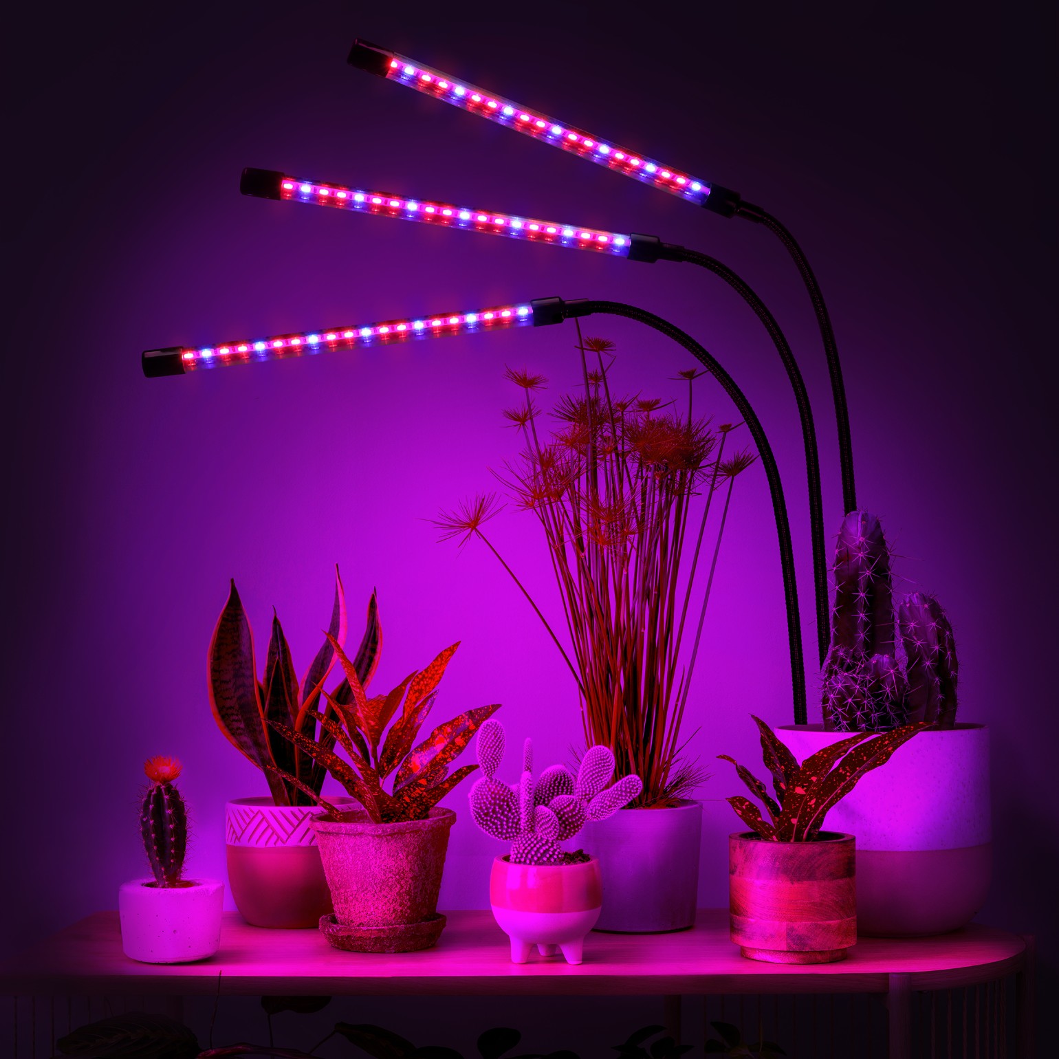 lampa led do wzrostu roślin 60 diod timer 24 w uprawa roślin do domu