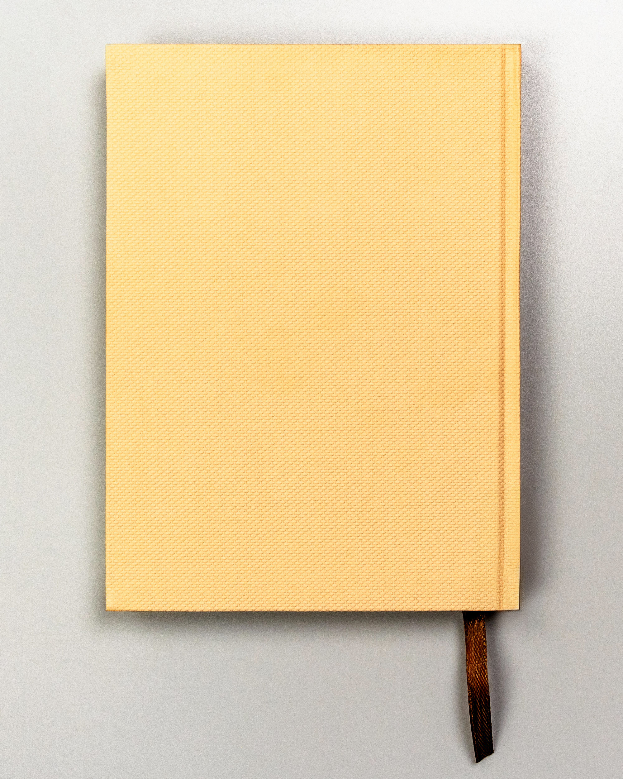 notes ptn not-k01-kp-4022 beige