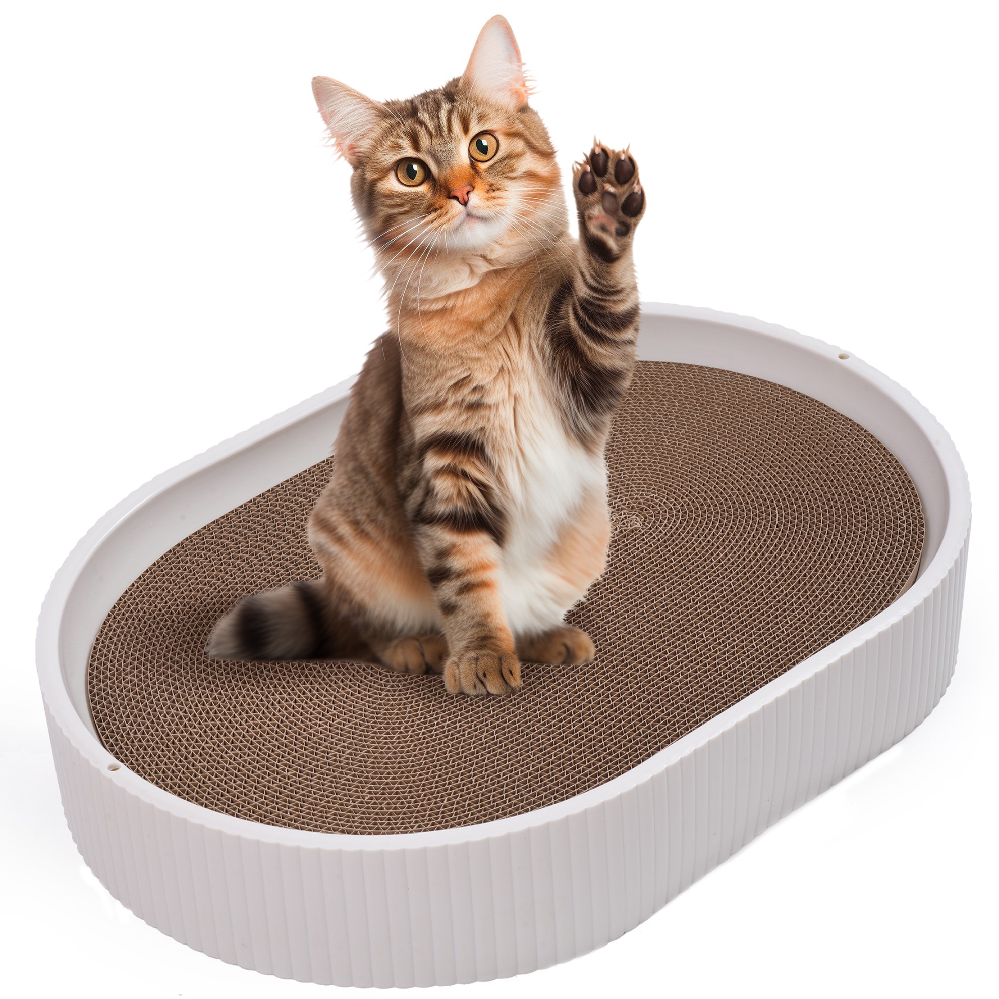 drapak dla kota z tekturki duży do drapania zabawka kot zwierzę leżący