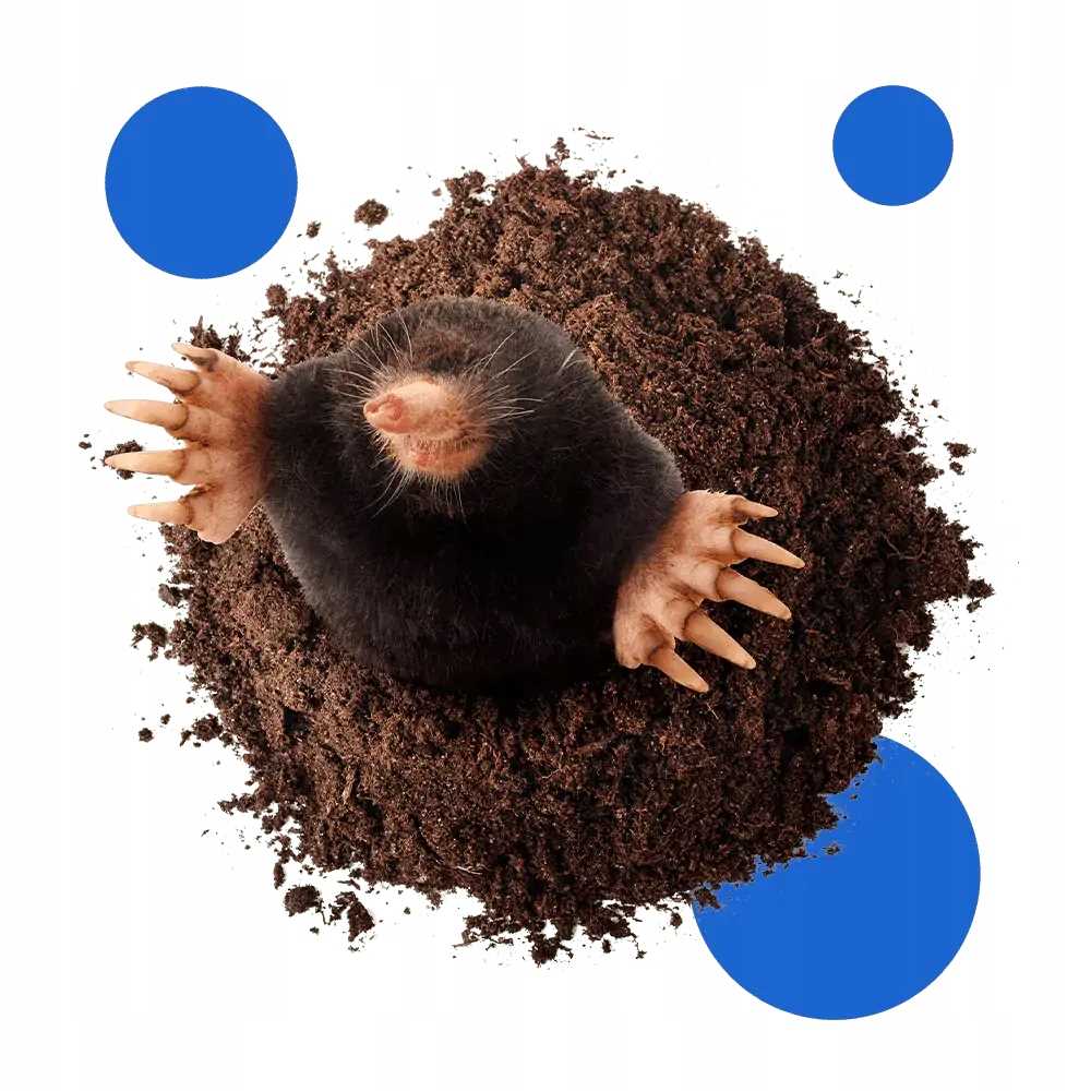 bros - karbid granulowany 500g