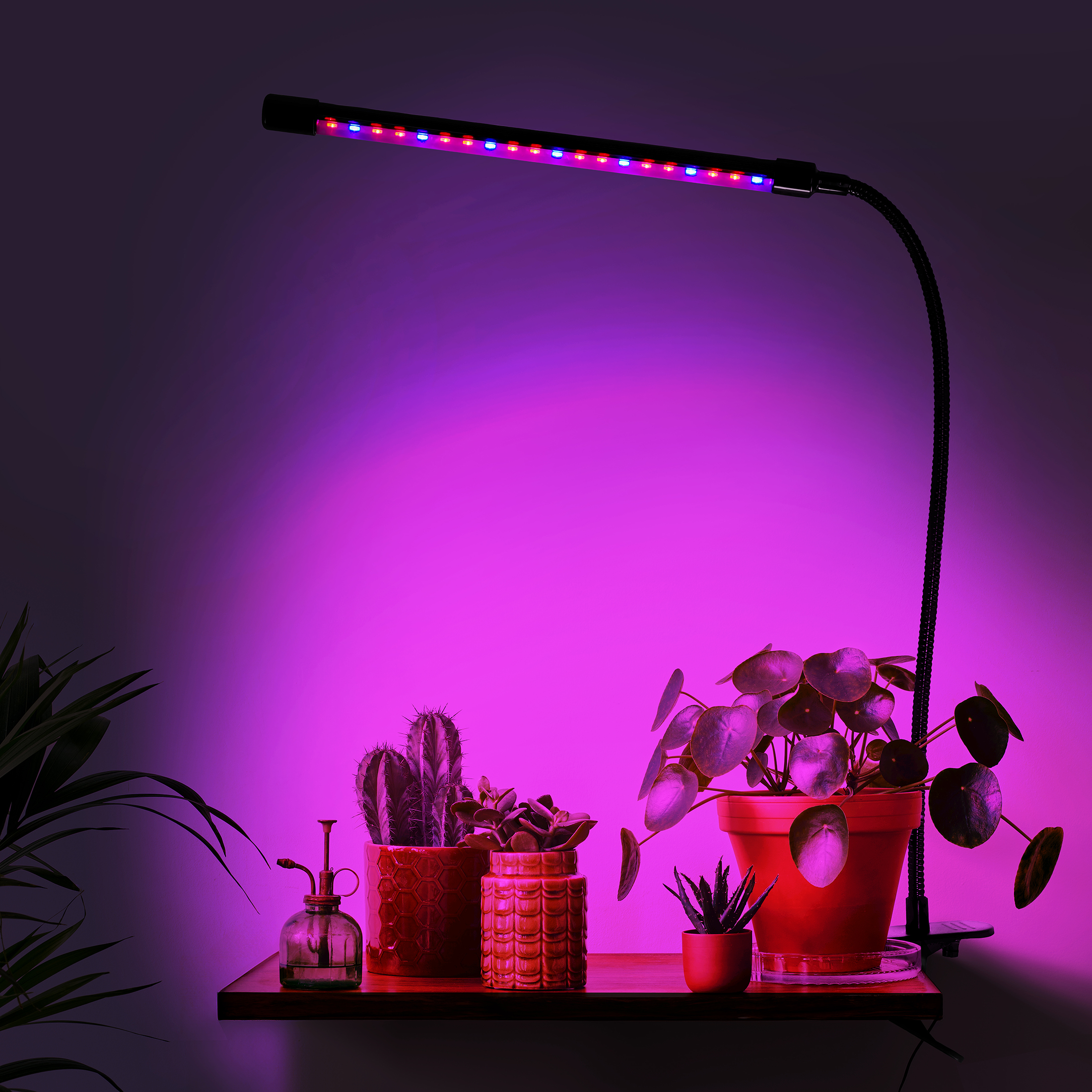 lampa led do wzrostu roślin 20 diod timer 9 w uprawa roślin do domu