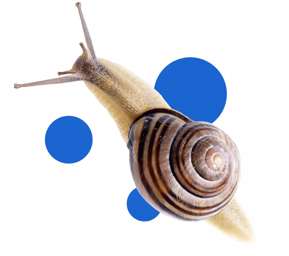 bros - snacol 3gb zwalcza ślimaki 2,1kg