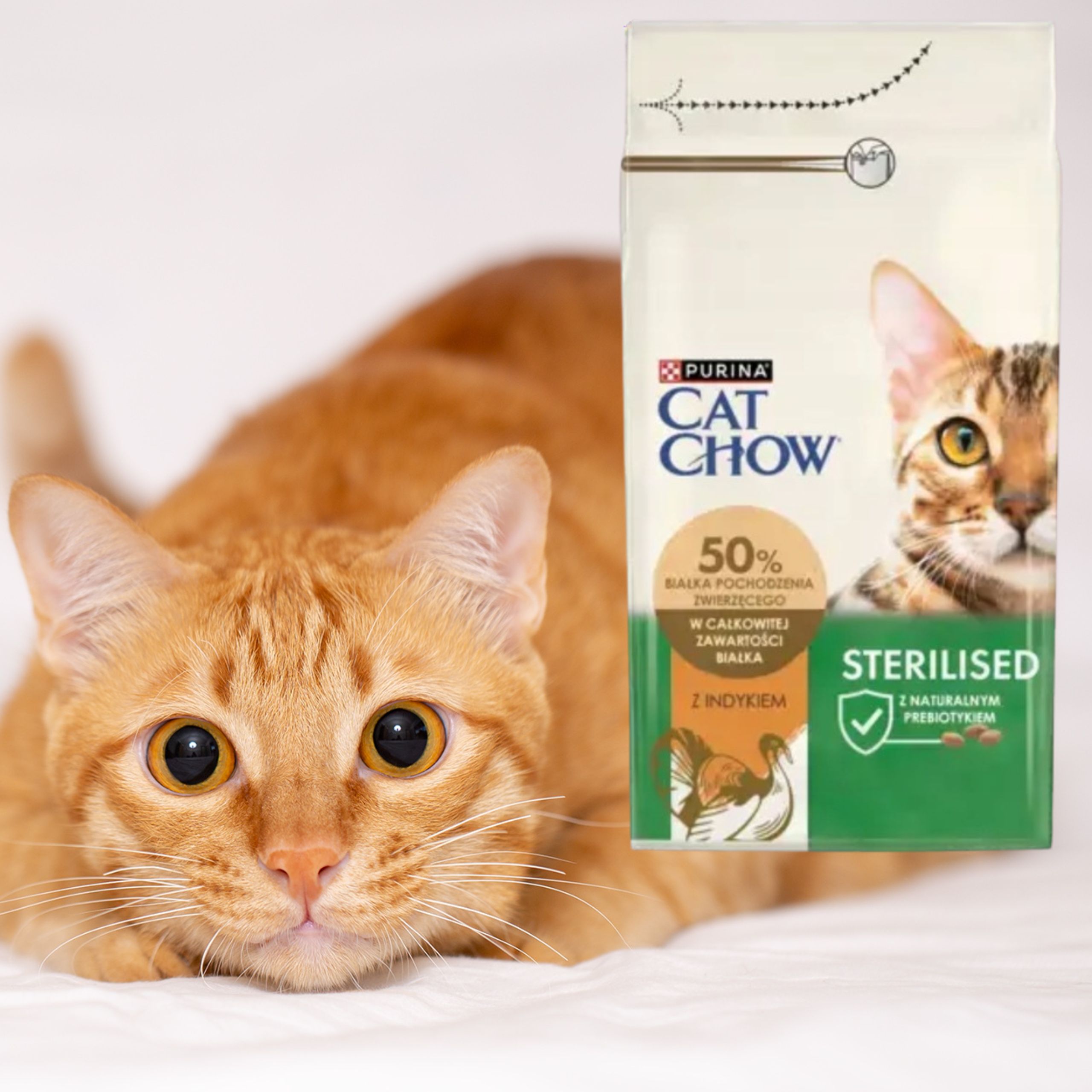 sucha karma dla kotów sterylizowanych cat chow indyk 15 kg +1.5 kg gratis