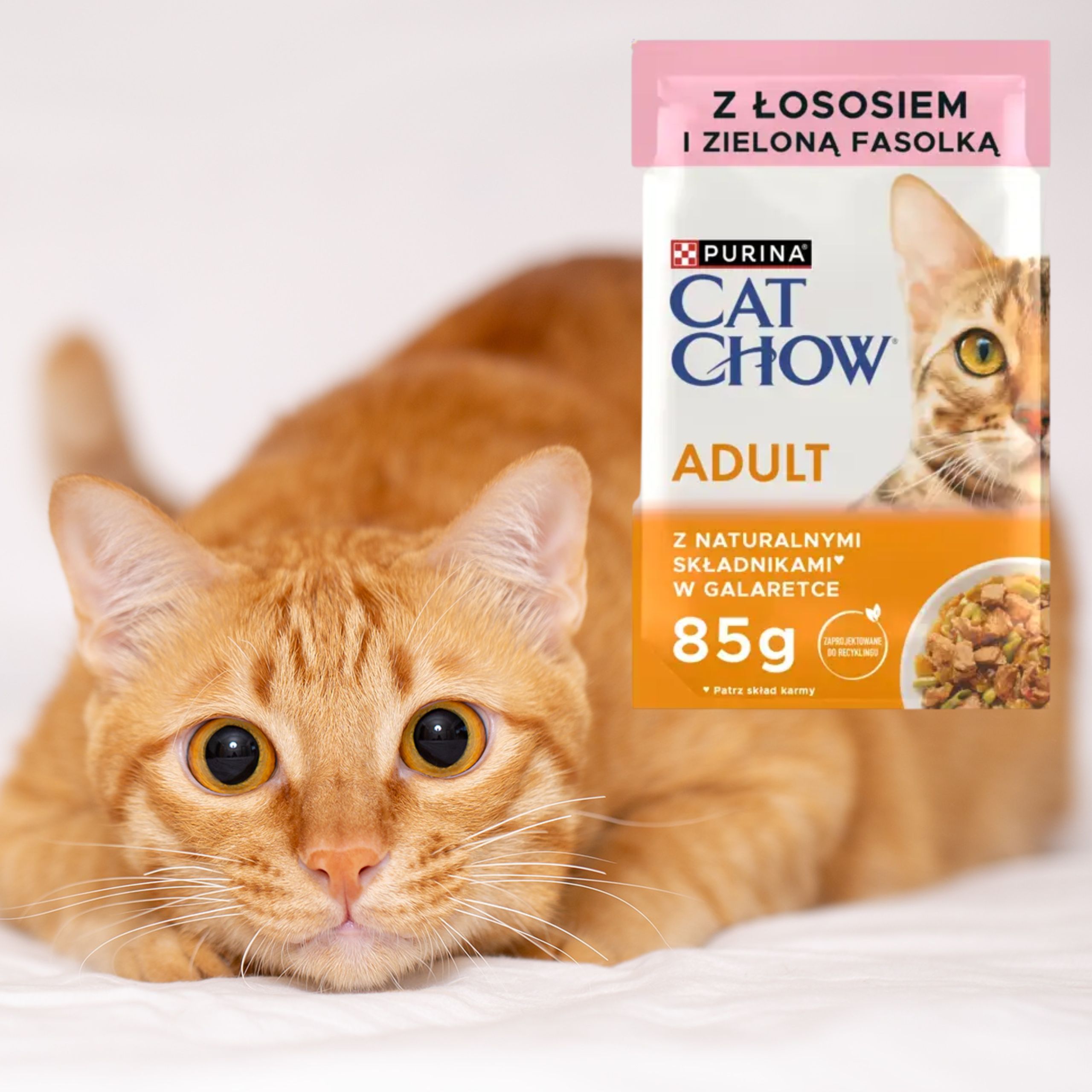 karma mokra dla kota purina cat chow adult łosoś z fasolką naturalna 85 g