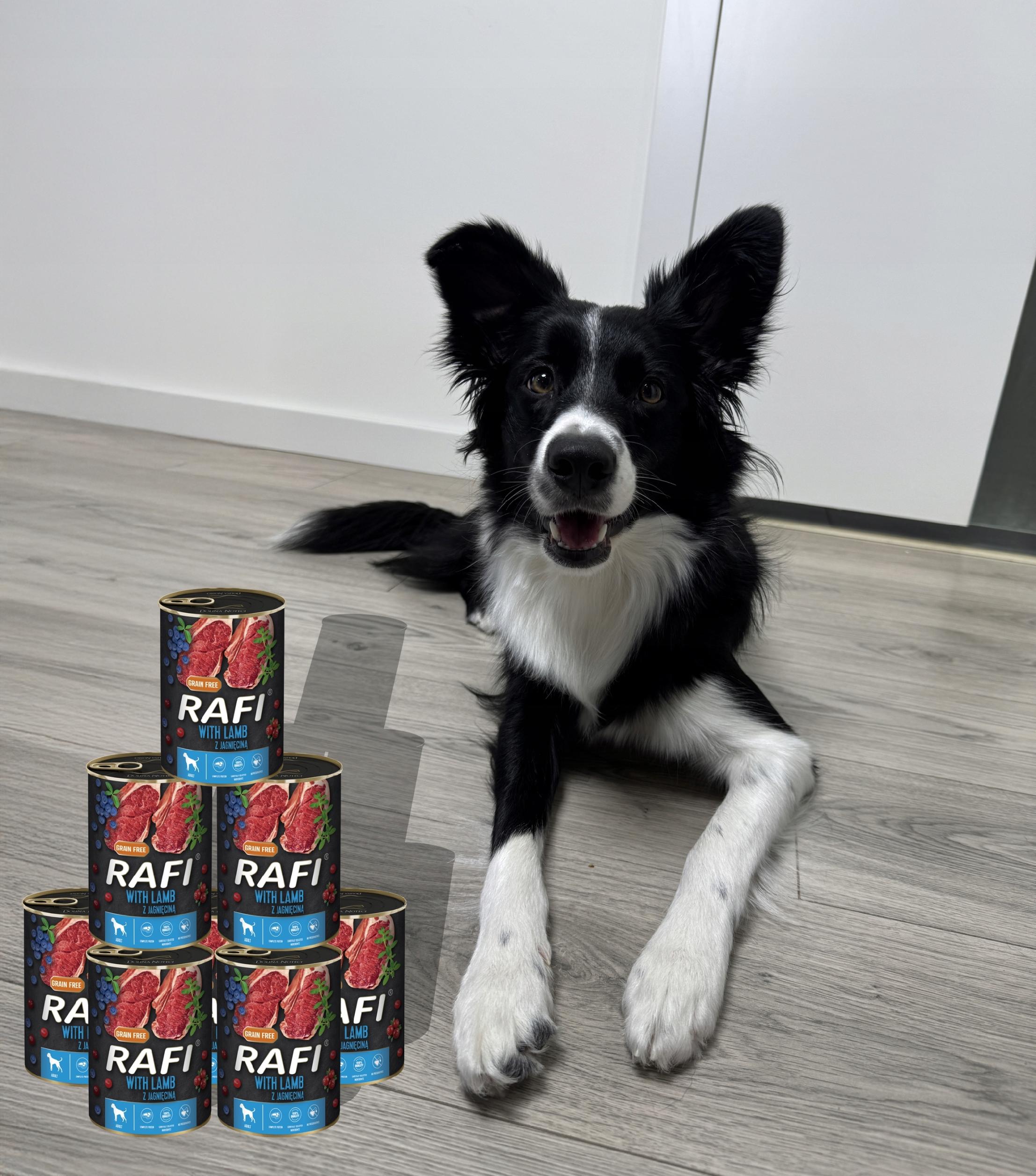 zestaw 24x400g karma mokra dla psów rafi mix smaków (jagnięcina, wołowina)