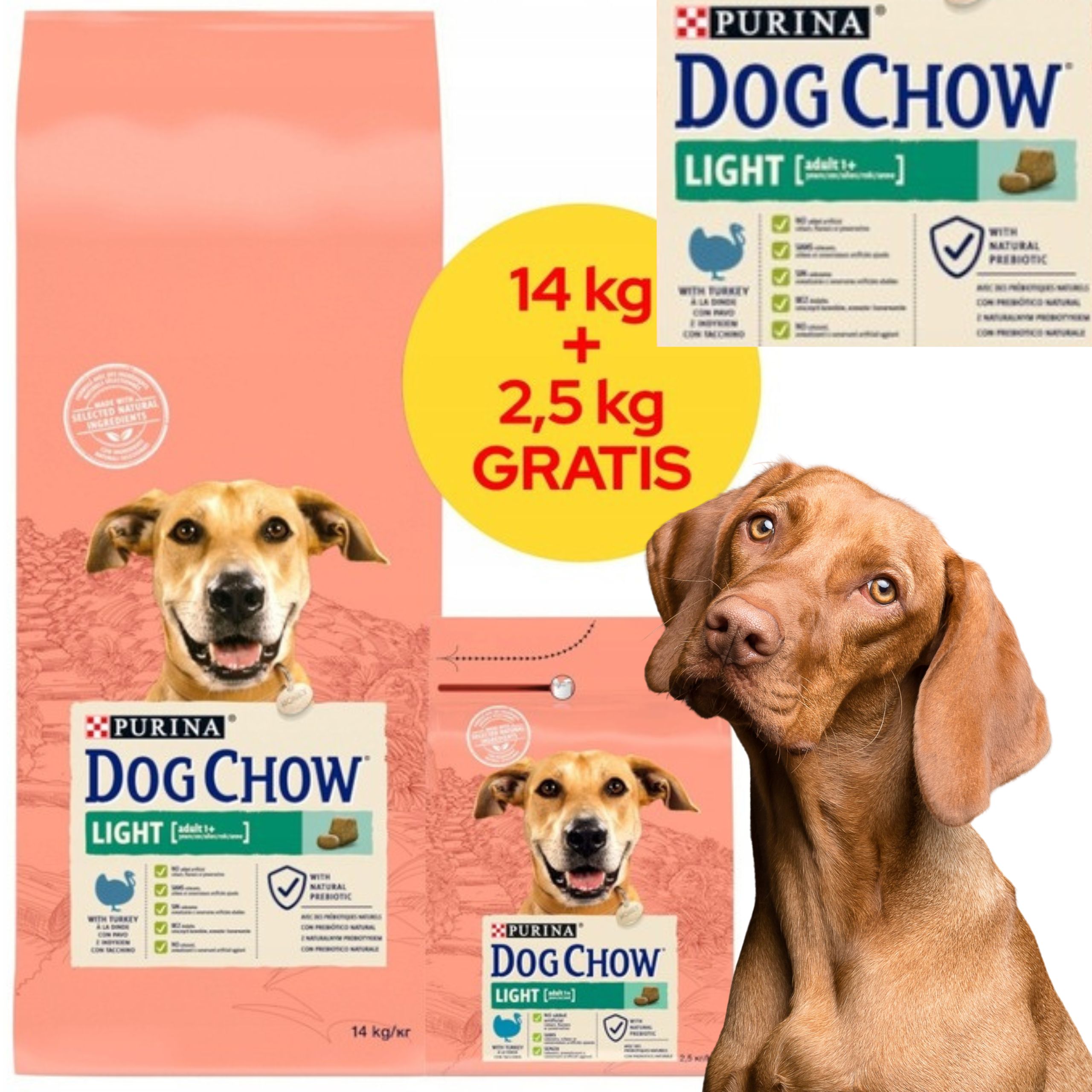 sucha karma psa purina dog chow indyk z prebiotykiem 14kg + 2,5kg gratis