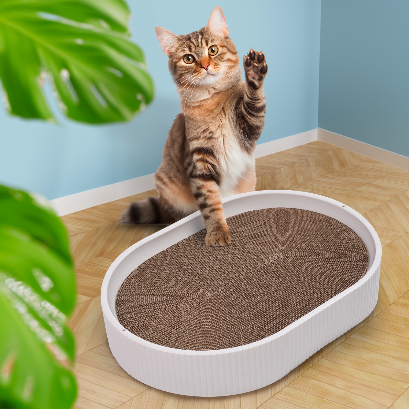 drapak dla kota z tekturki duży do drapania zabawka kot zwierzę leżący