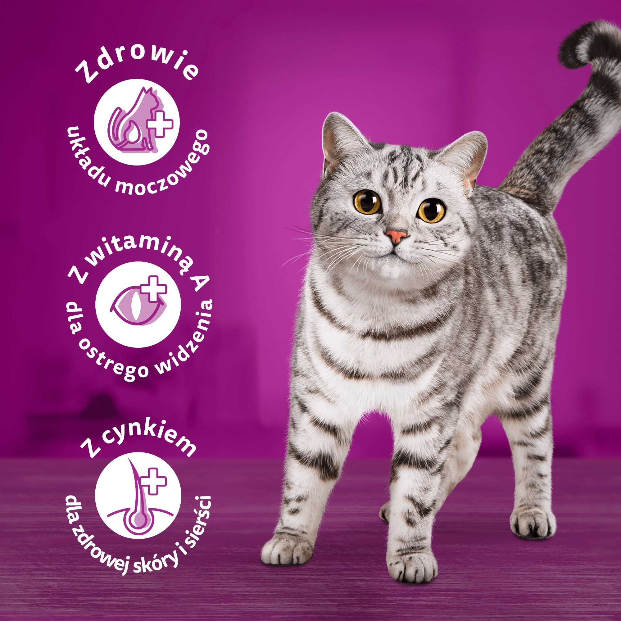 whiskas sucha kurczak 14kg