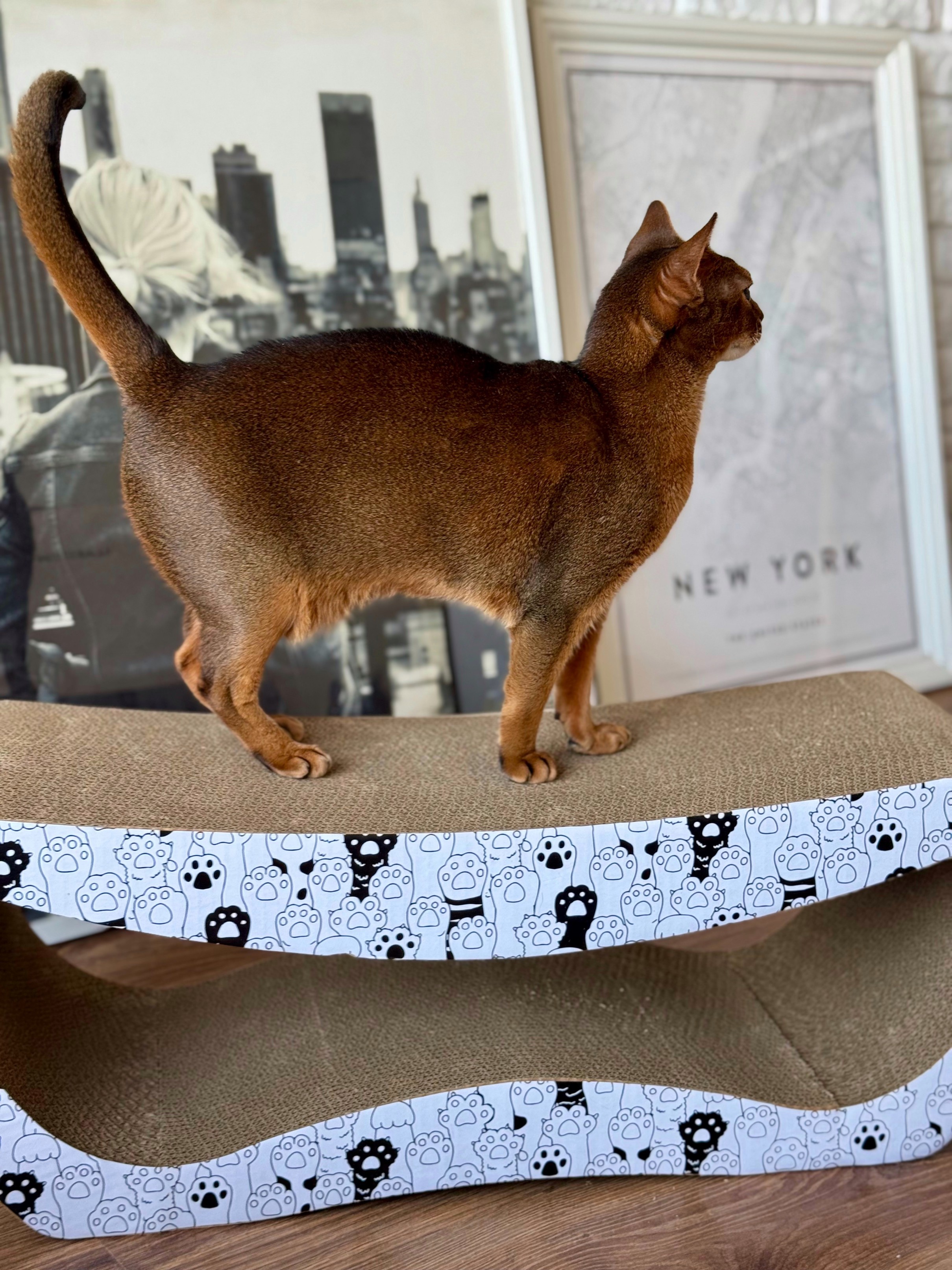 drapak dla kota  tekturowy duży legowisko do drapania leżak kartonowy