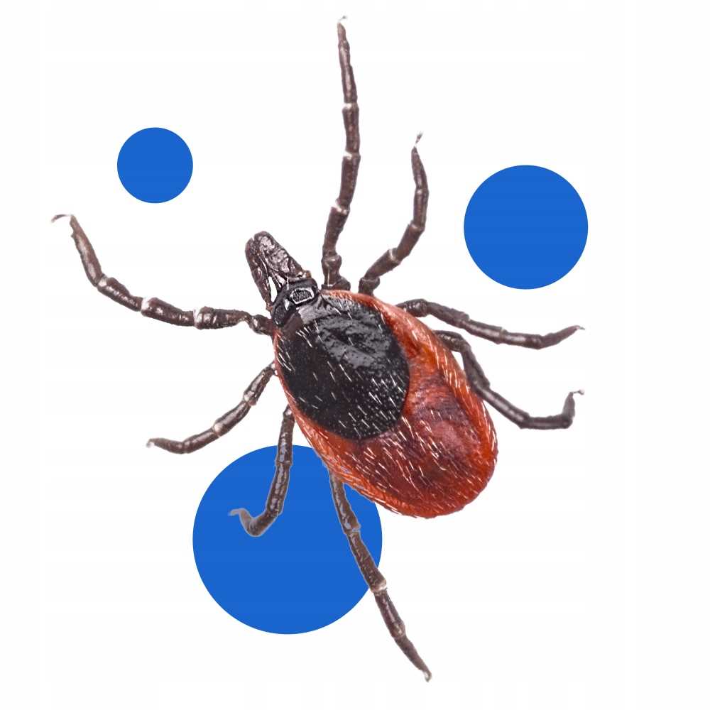 bros - spray na komary i kleszcze 50% deet 90ml - 2 szt.