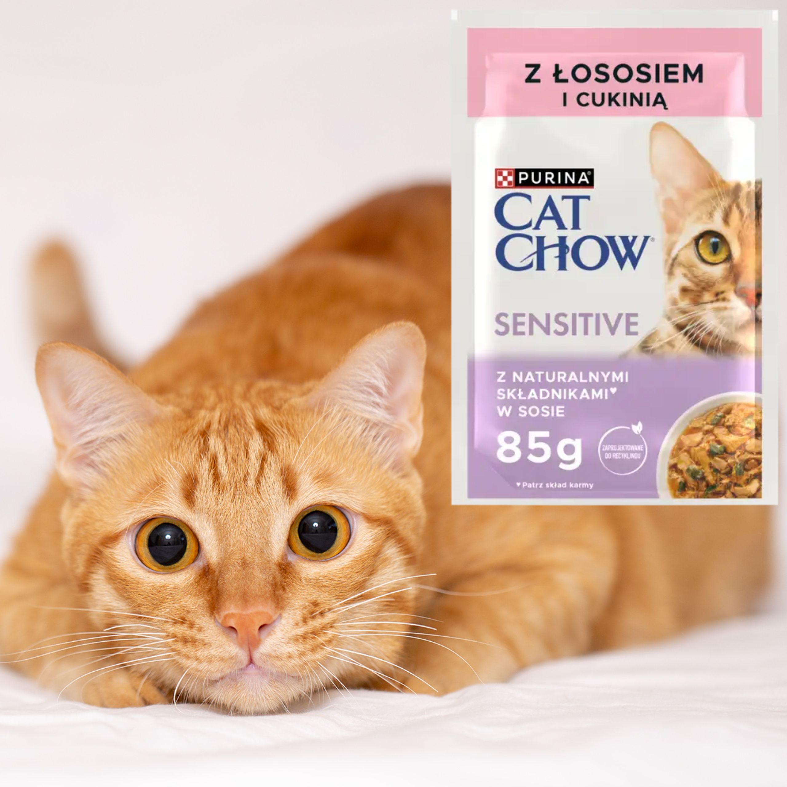 karma mokra dla wrażliwych kotów cat chow sensitive łosoś z cukinią 85 g