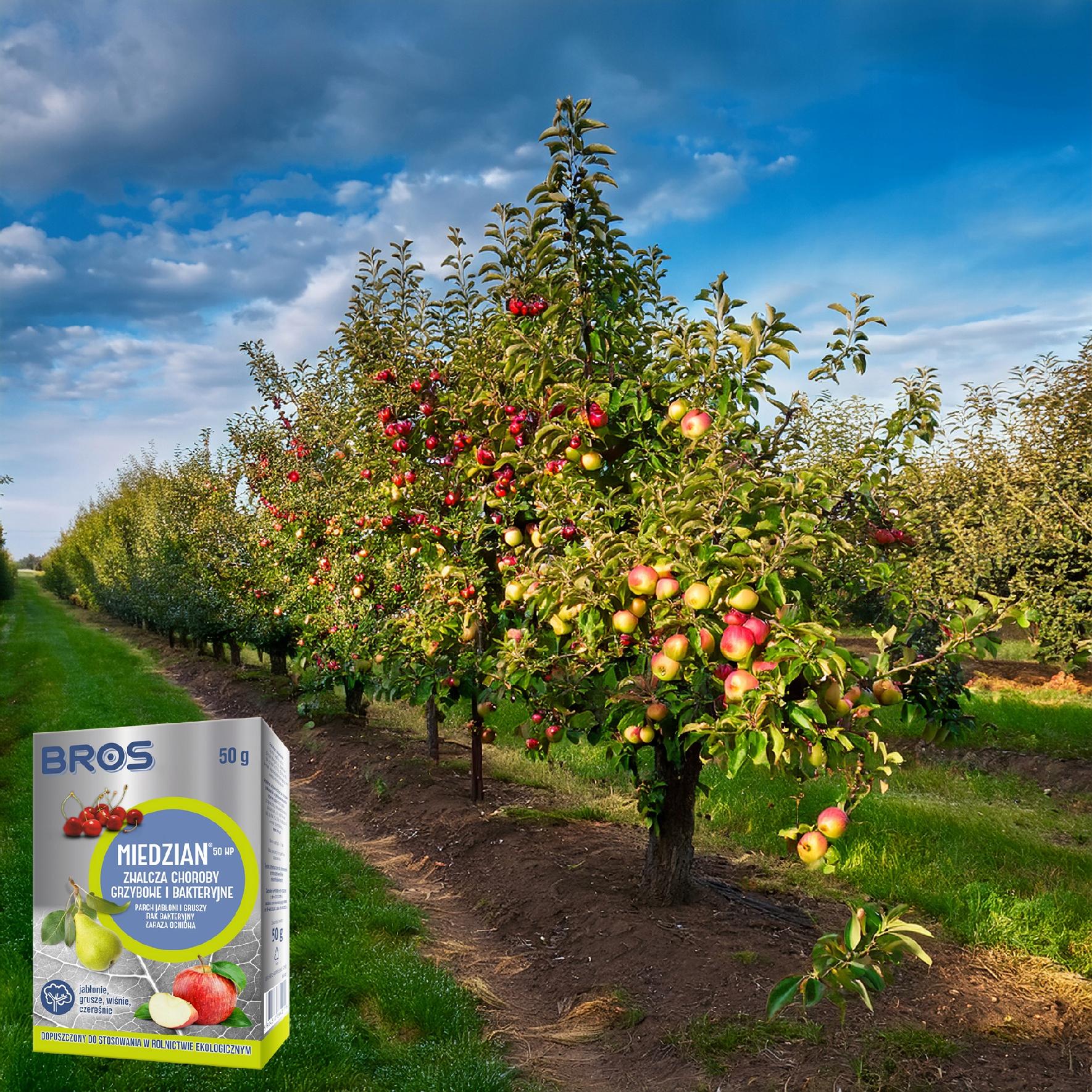 bros - miedzian 50wp 50g