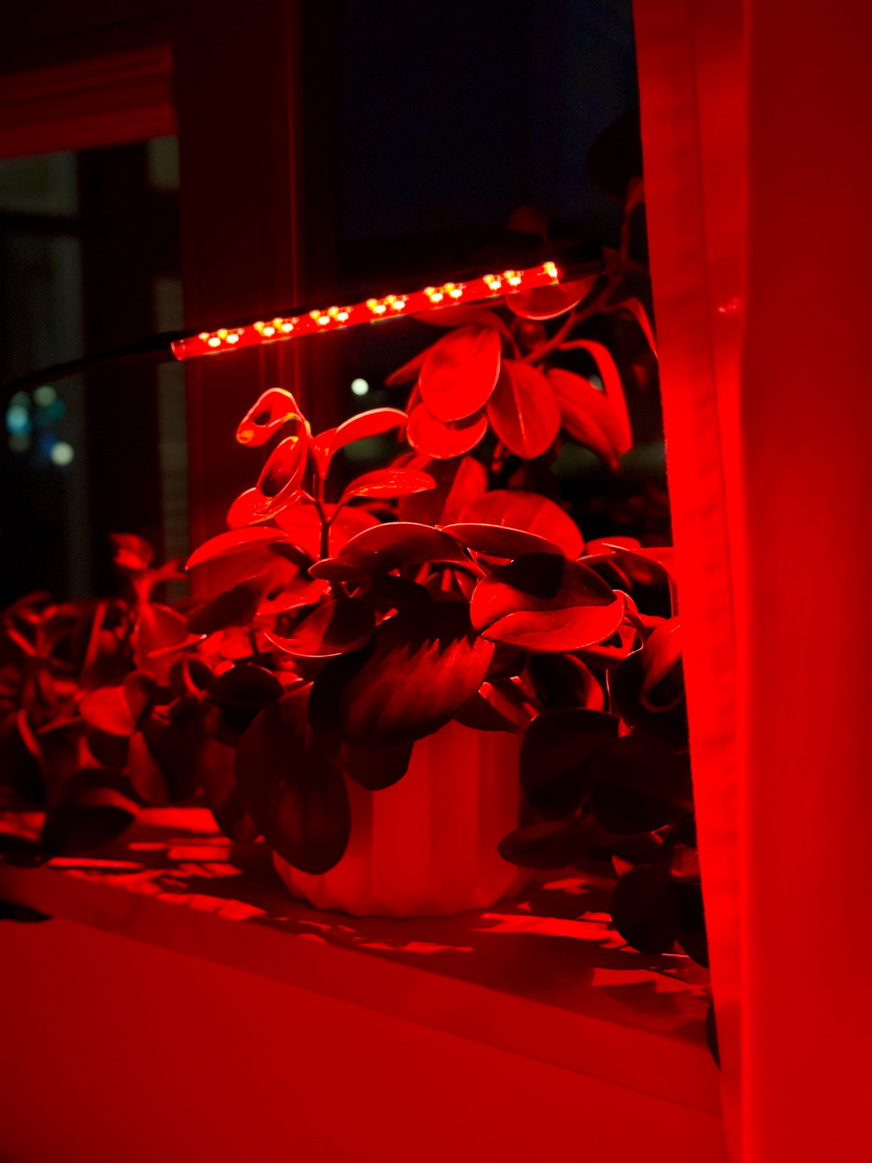 lampa led do wzrostu roślin 20 diod timer 9 w uprawa roślin do domu