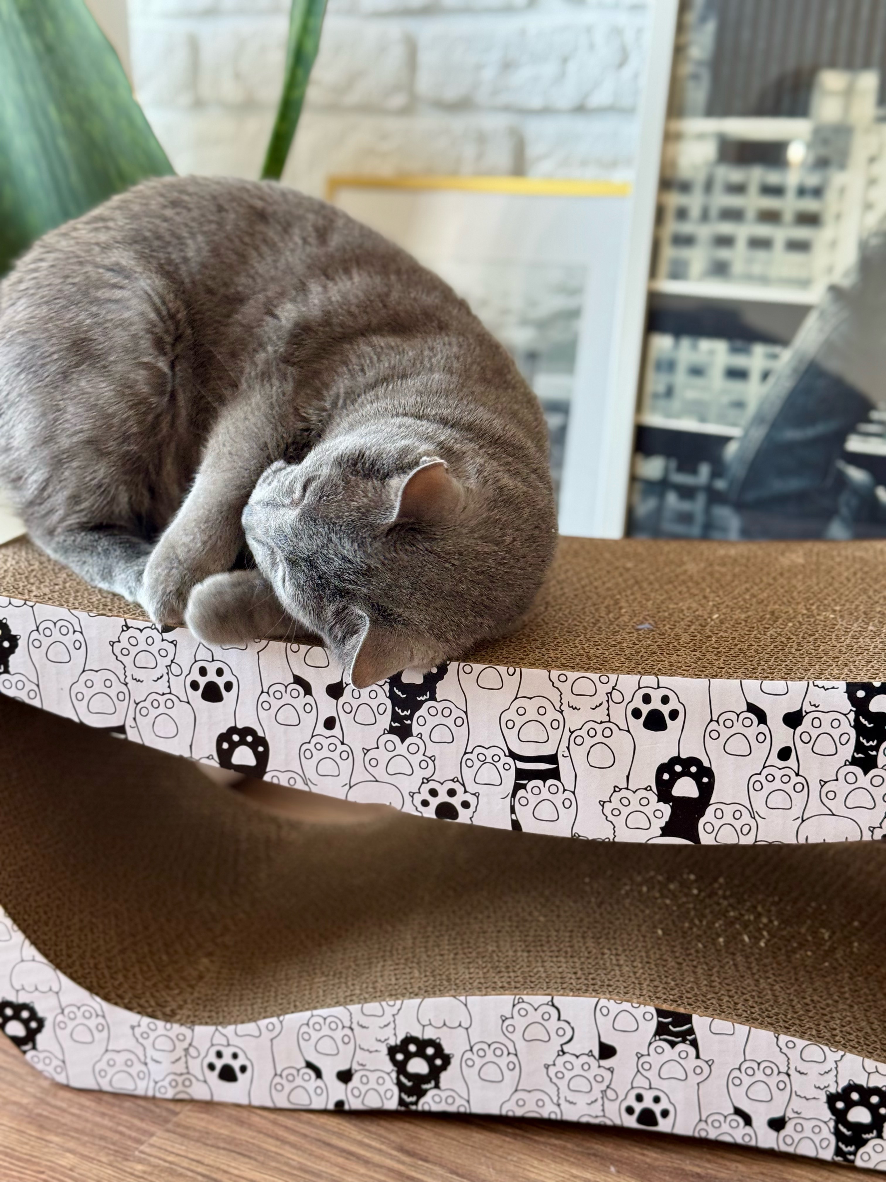 drapak dla kota  tekturowy duży legowisko do drapania leżak kartonowy