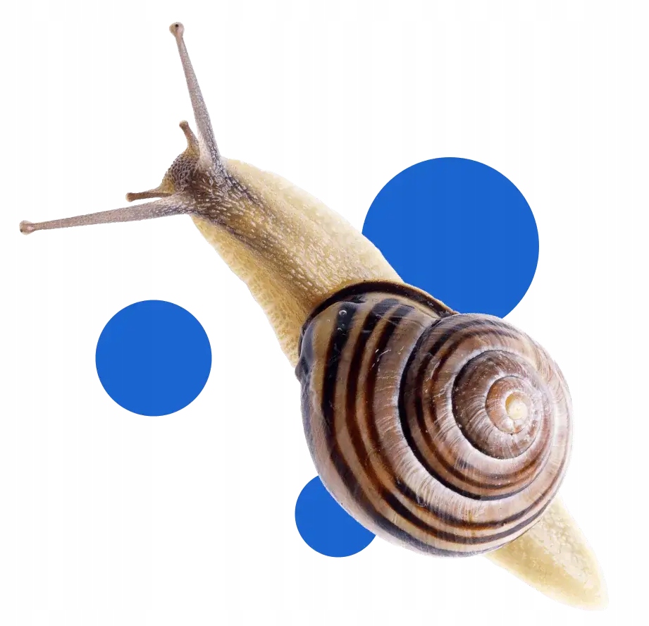 bros - vitrol gb zwalcza ślimaki 1kg