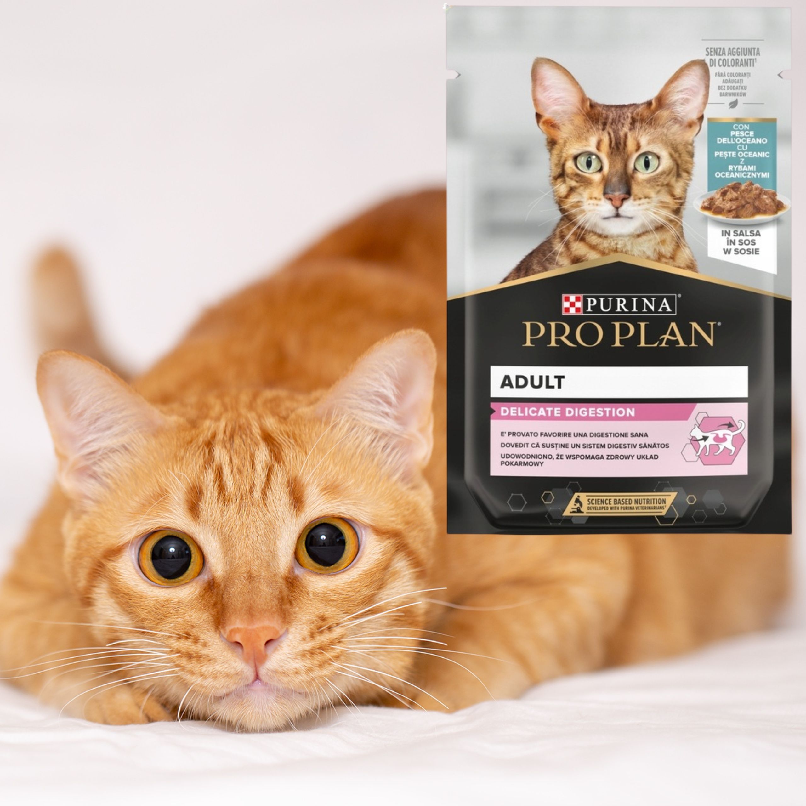 karma mokra dla kota pro plan delicate z rybami 85 g zdrowe jelita kotów