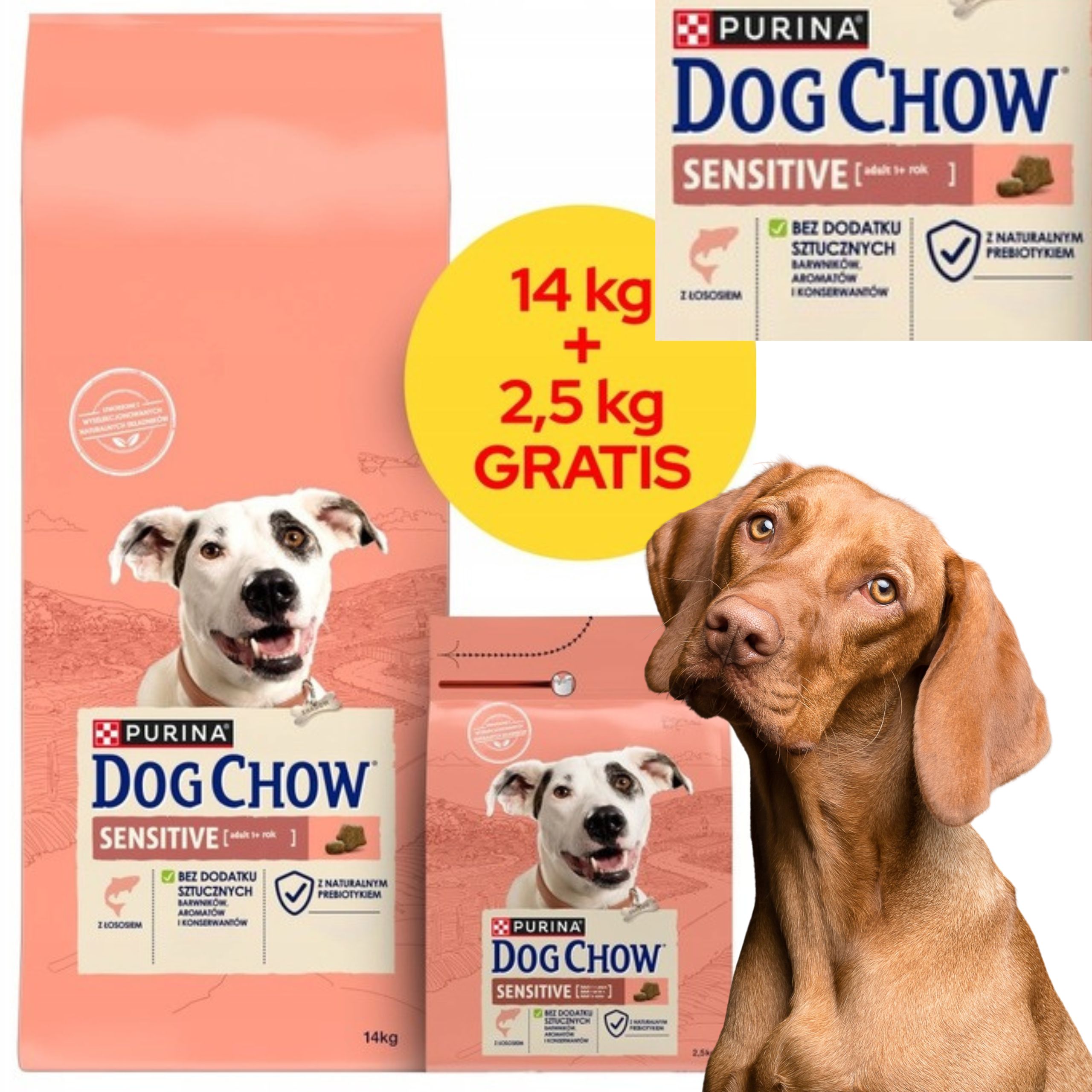 sucha karma psa purina dog chow łosoś z prebiotykiem 14kg + 2,5kg gratis