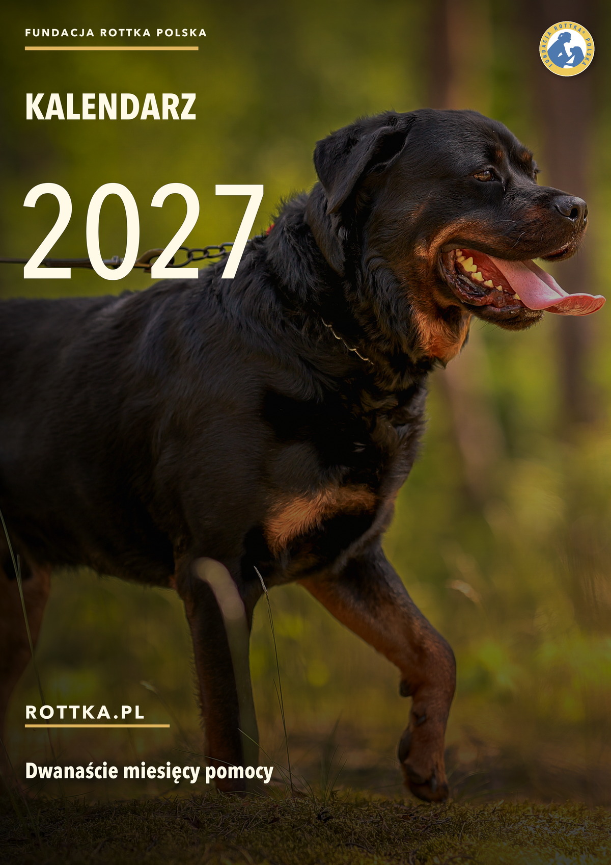 Okładka kalendarza Rottka 2027 z Bandim