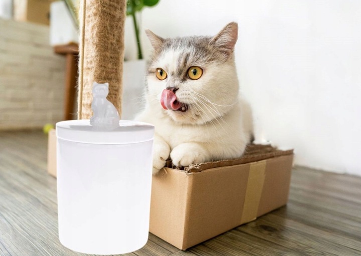 POJEMNIK ceramiczny 1800 ml pojemnik na smaczki, karmę, atest do żywności