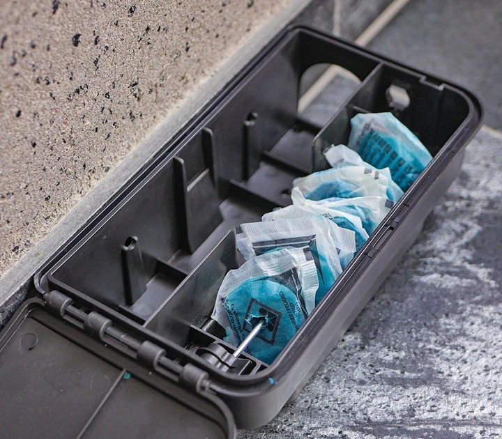 SILNA TRUTKA NA MYSZY I SZCZURY MURIBROM PASTA W SASZETKACH BRODIFAKUM