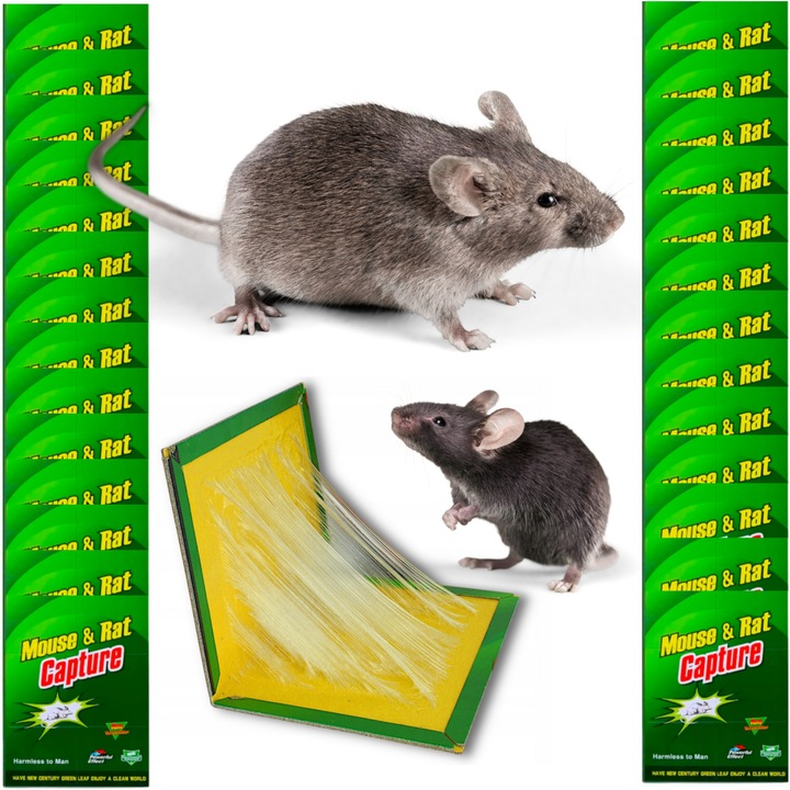 LEP NA MYSZY SILNA PUŁAPKA NA SZCZURY GRYZONIE MYSZOŁAPKA KLEJ ŁAPKA