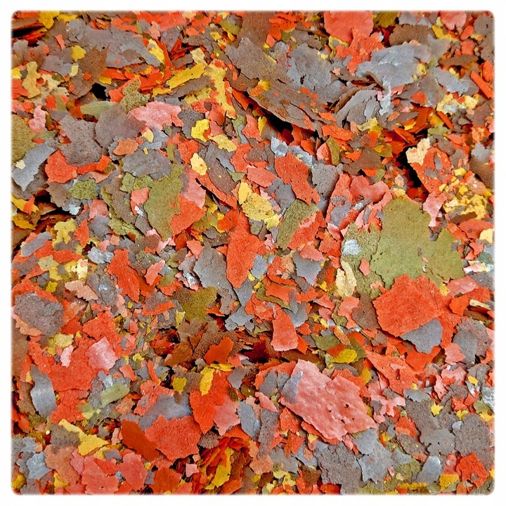 Zestaw 3 karm Glopex w pojemnikach 1000 ml Basic Eigelb i Vegetal mix