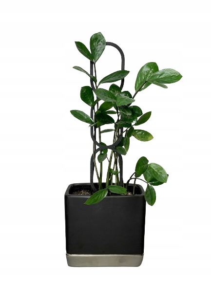 Podpora do Roślin Pnączy Podpórka Kwiatów Pnących Pergola Drabinka L