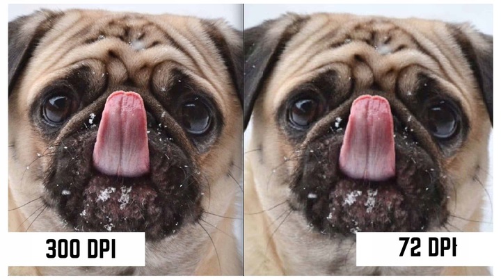 Ulotki Canva A4 A5 A6 DL premium Druk z Twojego Projektu Full Kolor EKSPRES