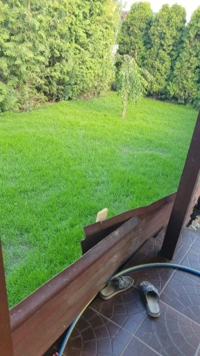 Trawa UNIWERSALNA nasiona trawy SAMOZAGĘSZCZAJĄCA odporna na DEPTANIE 5kg