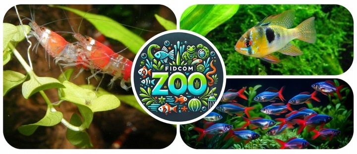 YOKUCHI Jiban Soil - 10L - czarne podłoże aktywne do akwarium