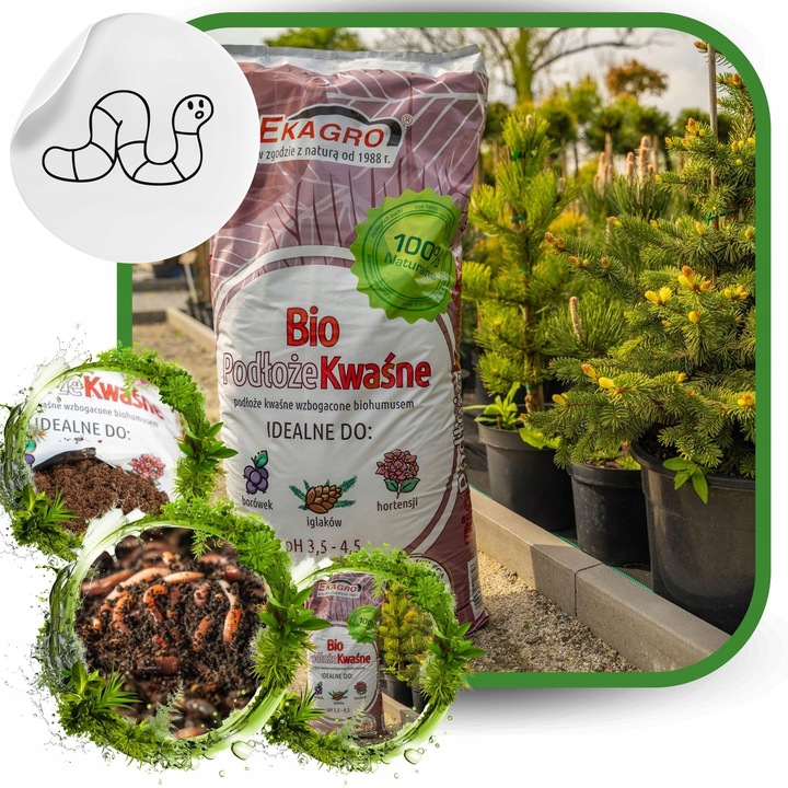Torf Kwaśny Podłoże z EKO Nawozem BORÓWKA IGLAKI