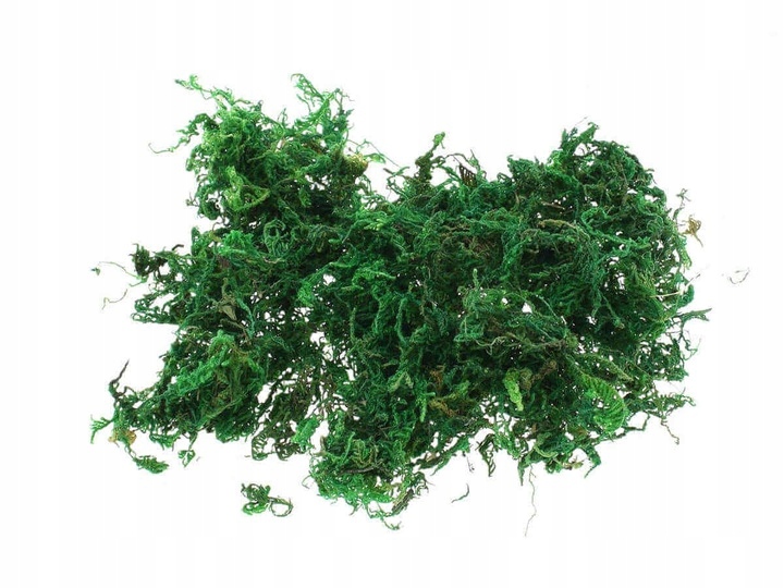 ZESTAW STARTOWY DO LASU W SZKLE KOMPLETNY 12 elementów MEGA DUŻY XXL