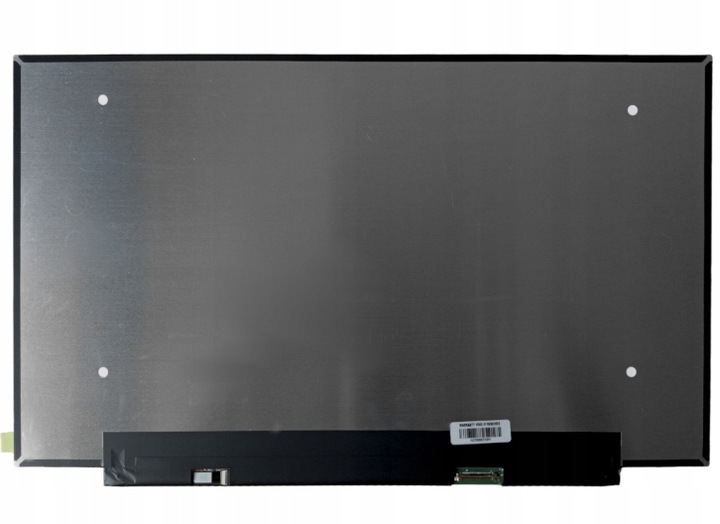 MATRYCA EKRAN LCD DO NV156FHM-N48 NT156FHM-N62