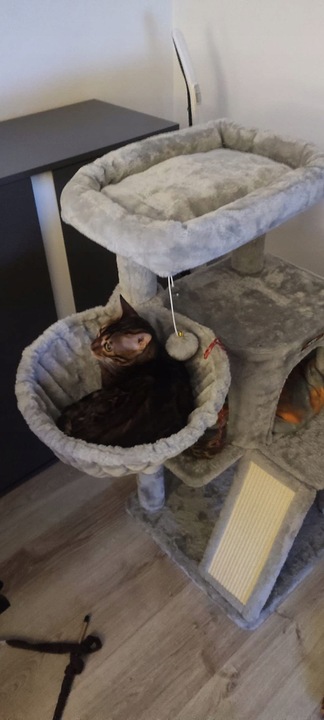 DRAPAK DLA KOTA DUŻY LEGOWISKO DOMEK ZABAWKA WIEŻA SŁUPEK 3 POZIOMY 96cm