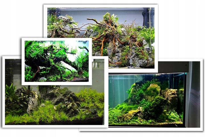 ZOOLEK TEST PO4 DO POMIARU FOSFORANU