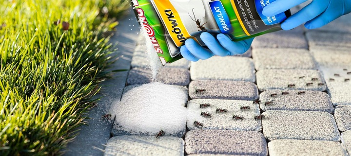 PREPARAT NA MRÓWKI, PROSZEK NA MRÓWKI DO DOMU I OGRODU, TRUTKA STRONG 1 KG