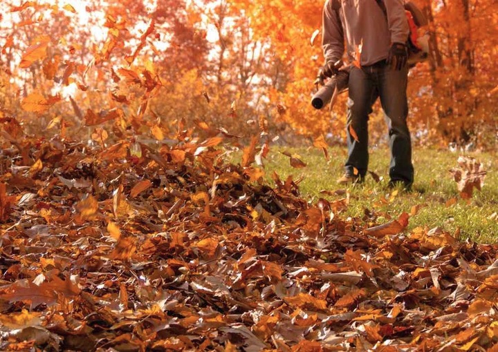 DMUCHAWA SPALINOWA OGRODOWA ODKURZACZ DO LIŚCI ŚNIEGU