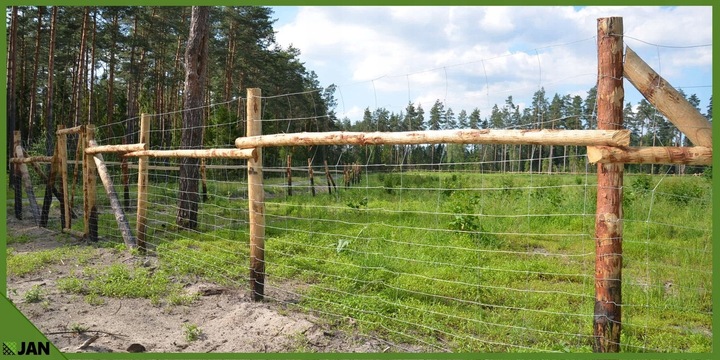 SIATKA LEŚNA ogrodzeniowa 180/24/15 L 50m GRATIS GĘSTA NA KURY DZIKA