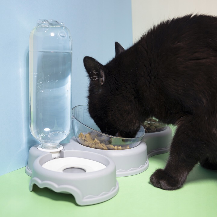 MISKI DLA KOTA ZWIERZĄT Z AUTOMATYCZNYM DOZOWNIKIEM PODAJNIKIEM WODY