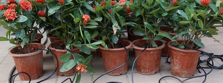 ZESTAW NAWADNIANIE KROPELKOWE SYSTEM 25m + 30 DYSZ