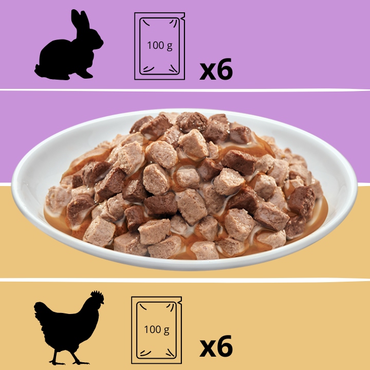 MOKRA KARMA DLA KOTA MEGA BOX MIX SMAKÓW 24X100G SASZETKI DLA KOTA PREVITAL